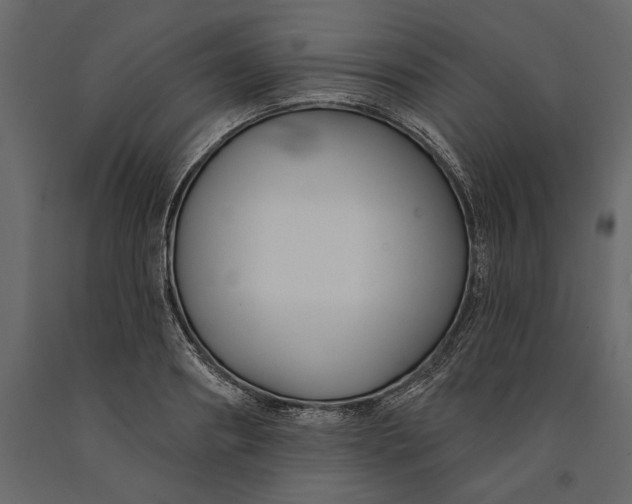 X0000091070890200708271214
