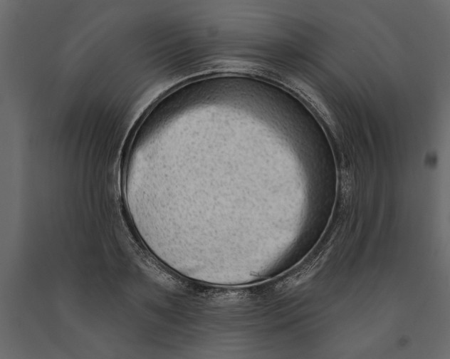 X0000091070891200708271214