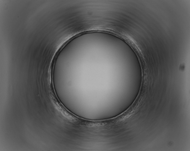 X0000091070892200708271214