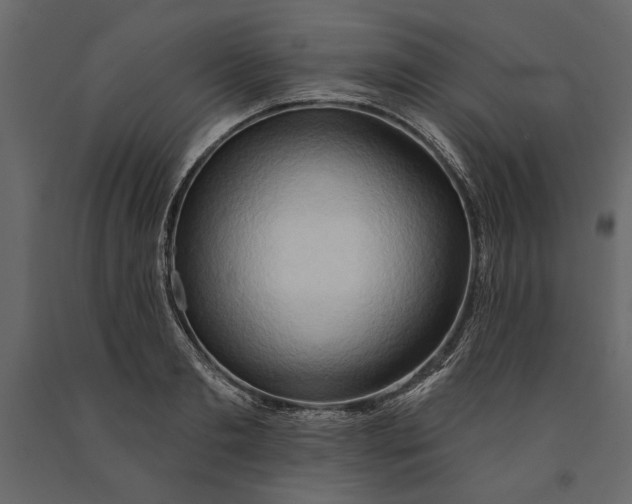 X0000091070893200708271214