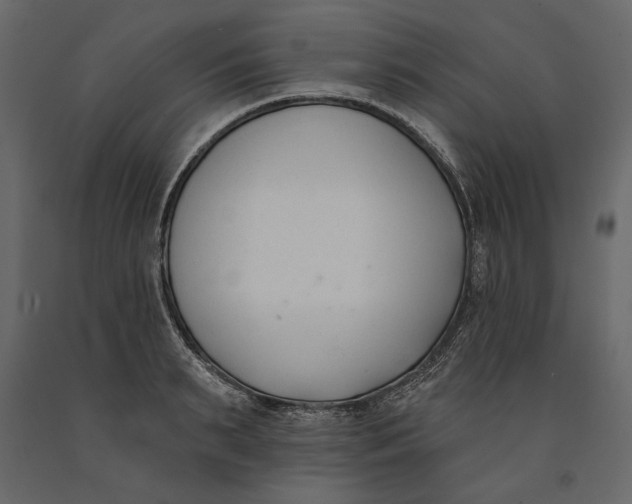 X0000091070895200708271214