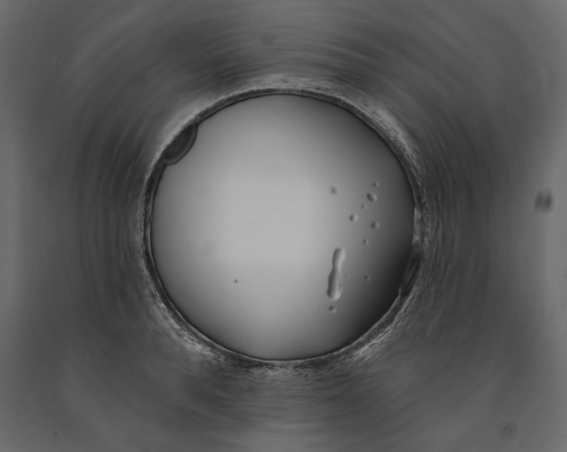 X0000091070896200708271214