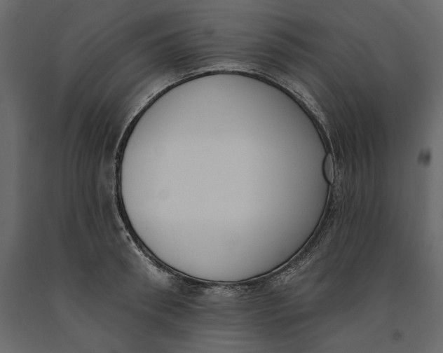 X0000091070898200708271214