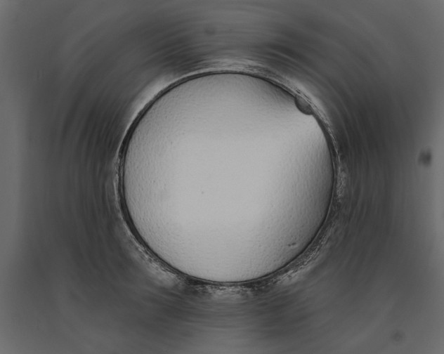 X0000091070899200708271214