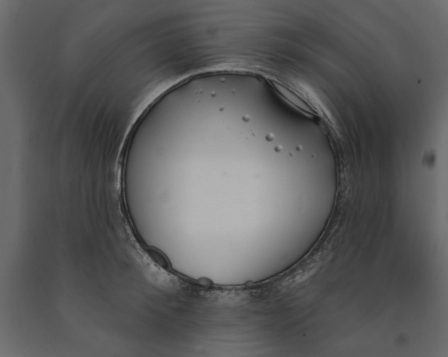 X0000091070900200708271214