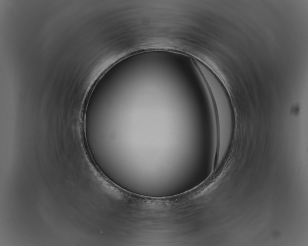 X0000091070901200708271214