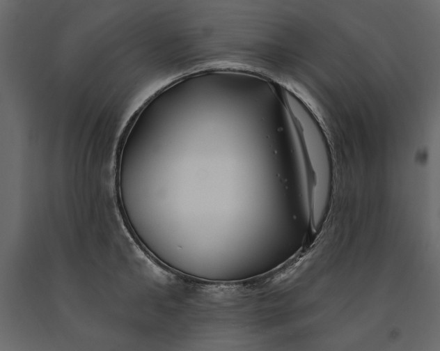 X0000091070902200708271214