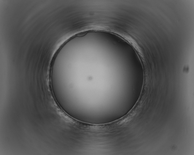 X0000091070904200708271214