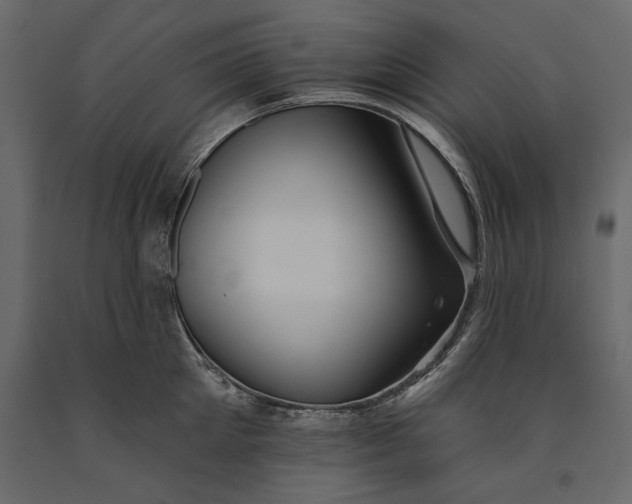 X0000091070905200708271214