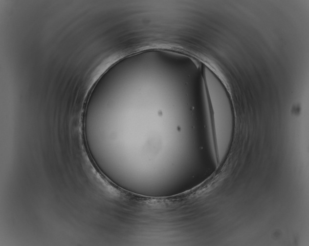 X0000091070906200708271213