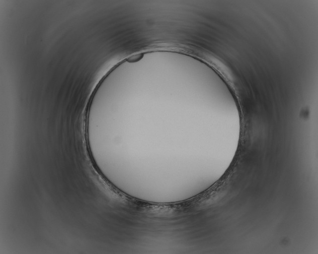 X0000091070907200708271213