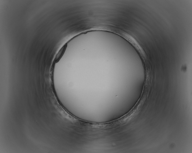 X0000091070908200708271213