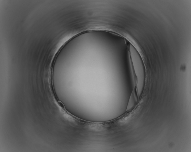 X0000091070909200708271213