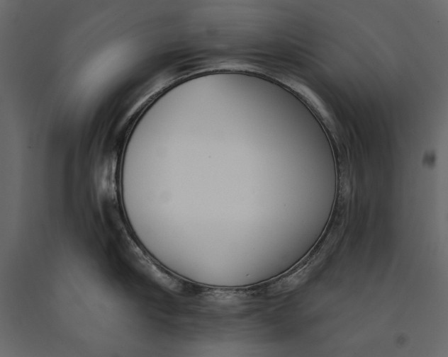 X0000091070910200708271213