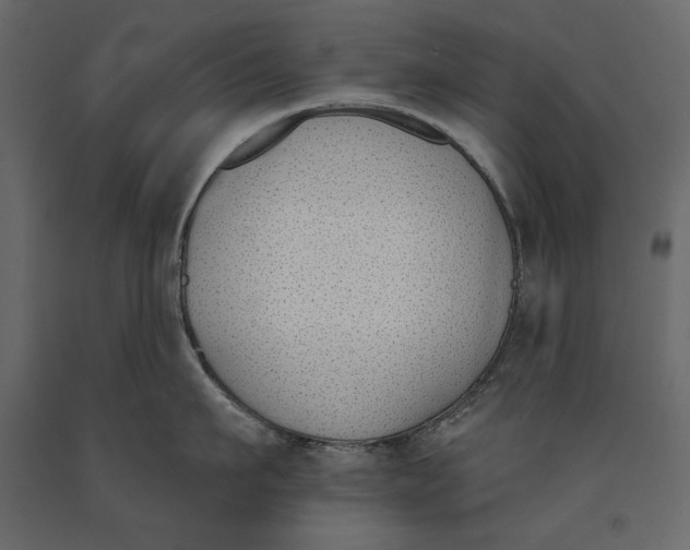 X0000091070911200708271213