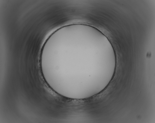 X0000091070912200708271213