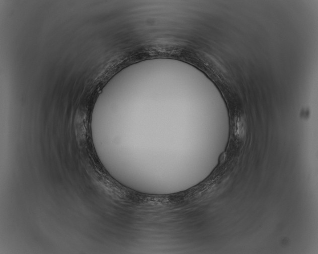 X0000091070915200708271213