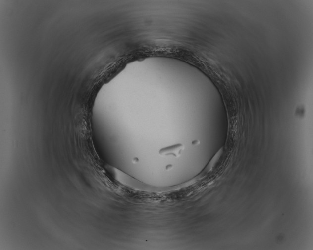 X0000091070916200708271213