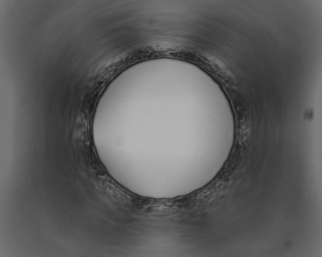 X0000091070917200708271213