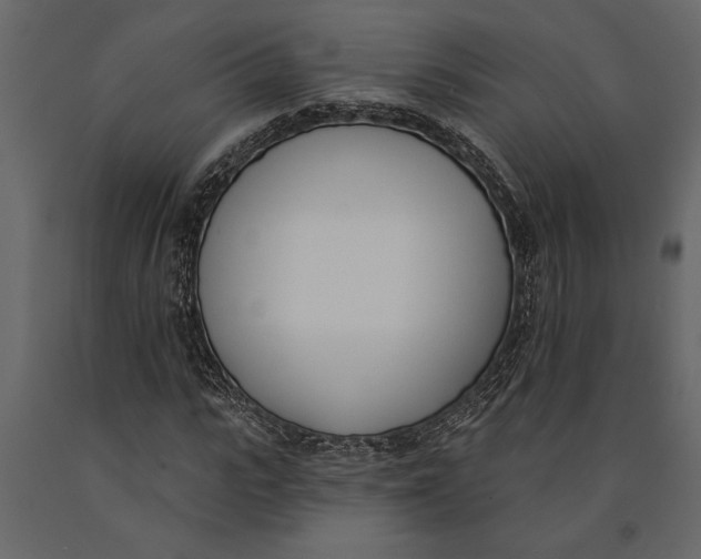 X0000091070919200708271213