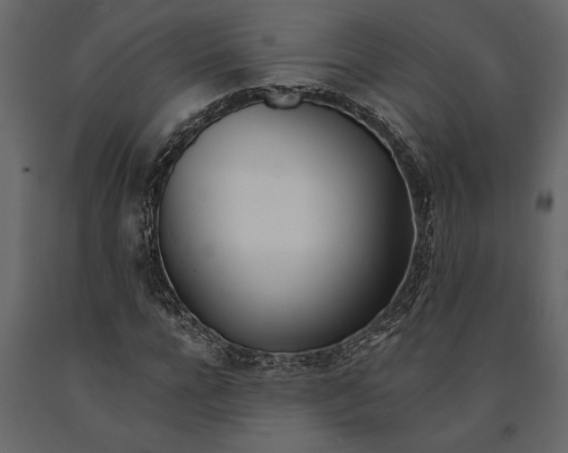 X0000091070920200708271213