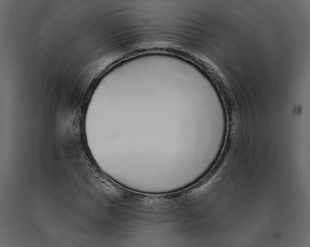 X0000091070921200708271213