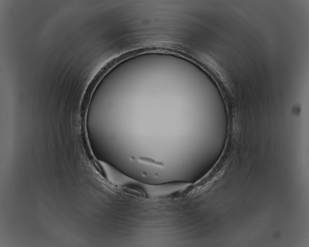 X0000091070924200708271213