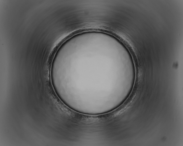 X0000091070925200708271213