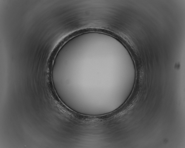 X0000091070926200708271213