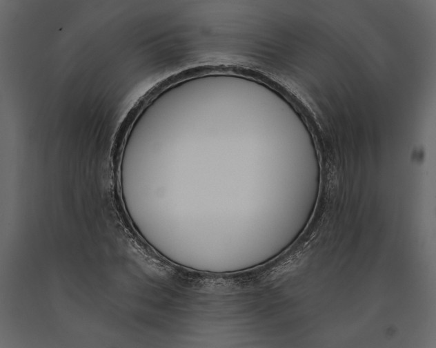 X0000091070927200708271213