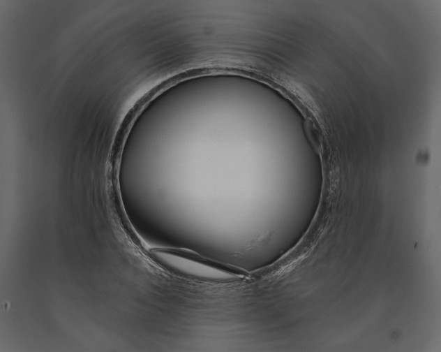 X0000091070928200708271213