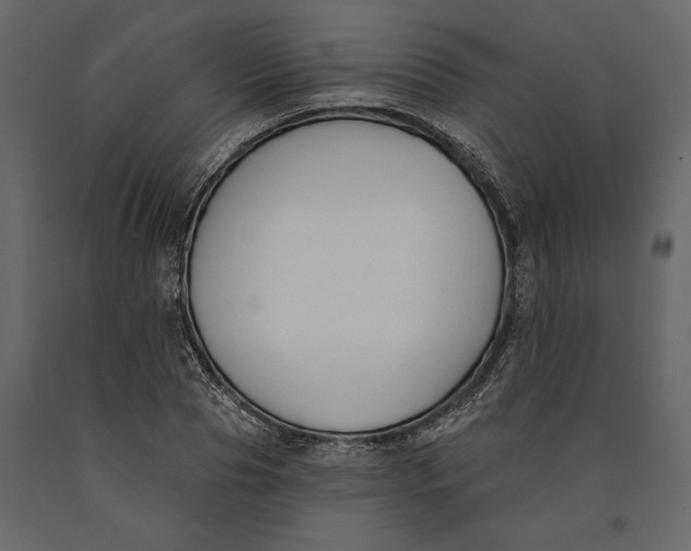 X0000091070929200708271213