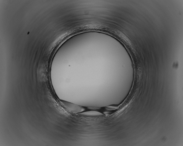 X0000091070930200708271213