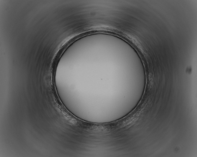 X0000091070931200708271213