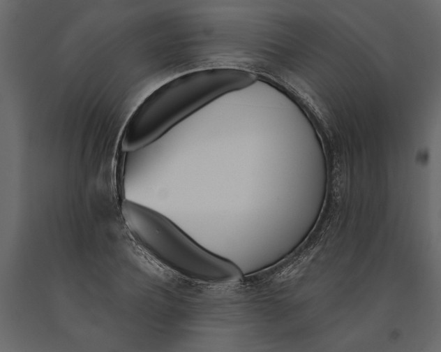 X0000091070932200708271213