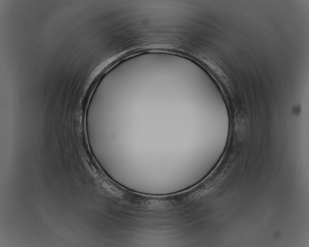 X0000091070933200708271213