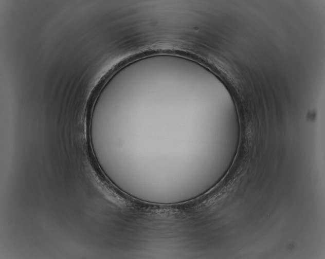 X0000091070934200708271213