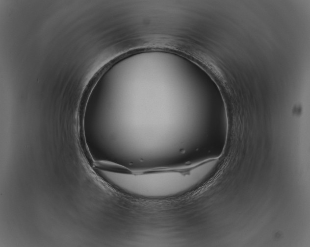 X0000091070936200708271213