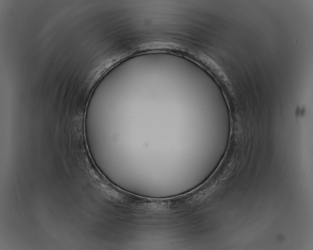 X0000091070937200708271213