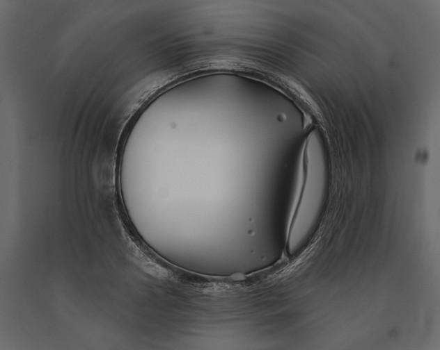 X0000091070938200708271213