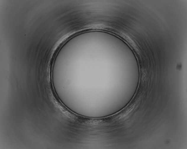 X0000091070939200708271213