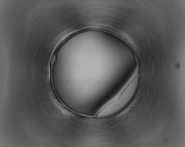 X0000091070940200708271213