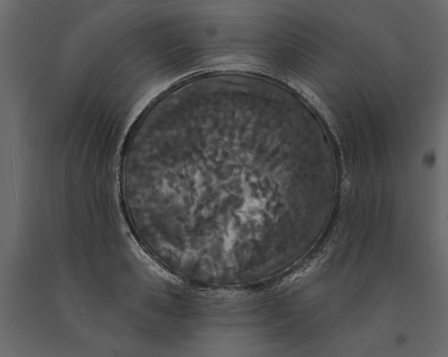 X0000091070941200708271213