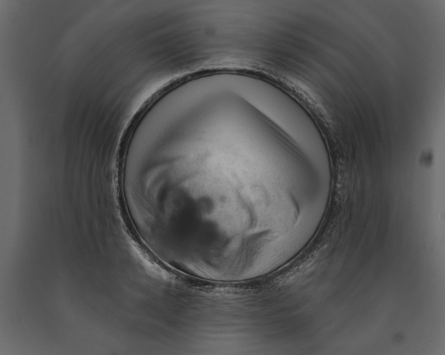 X0000091070942200708271213