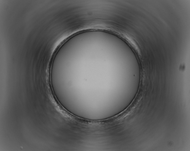 X0000091070944200708271213
