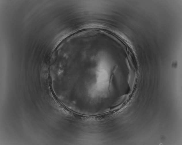 X0000091070945200708271213