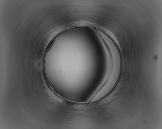 X0000091070946200708271213