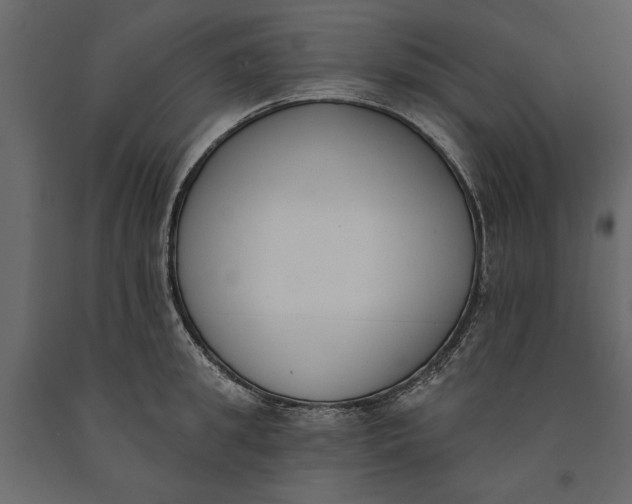 X0000091070949200708271213