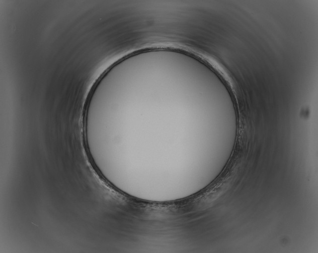 X0000091070951200708271213