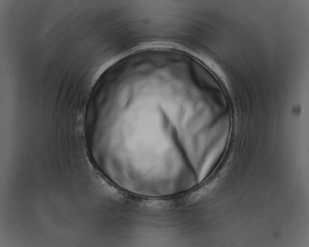 X0000091070953200708271213